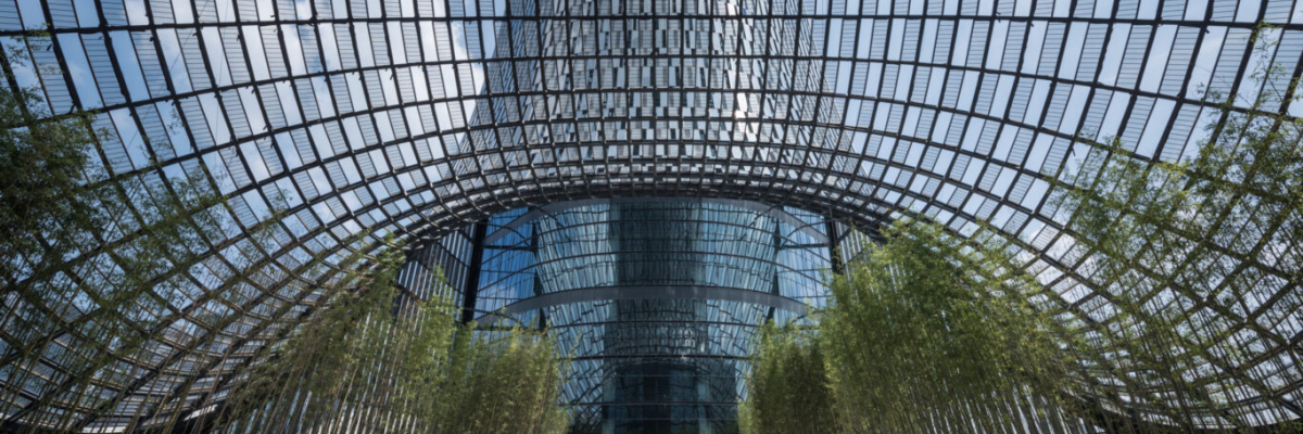 Structure avec toit en verre, végétation et allée centrale.