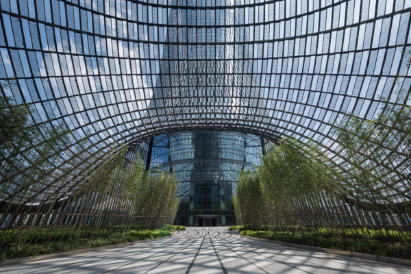 Structure avec toit en verre, végétation et allée centrale.